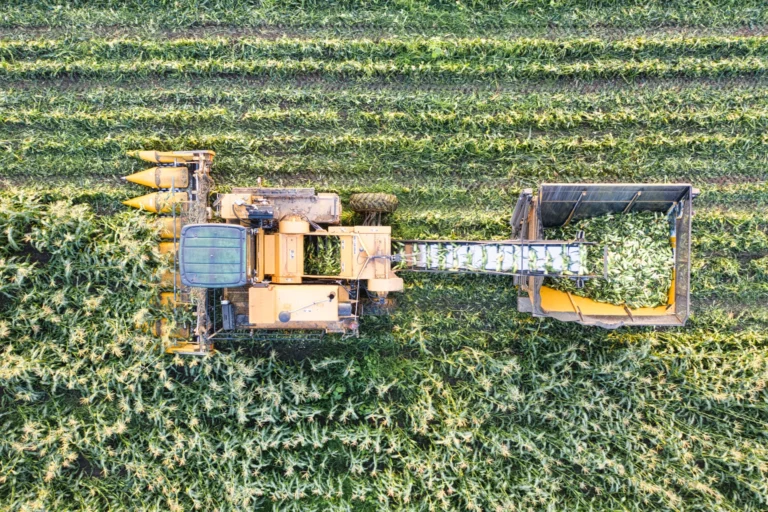 Máquina colhendo milho em um campo verde, vista aérea